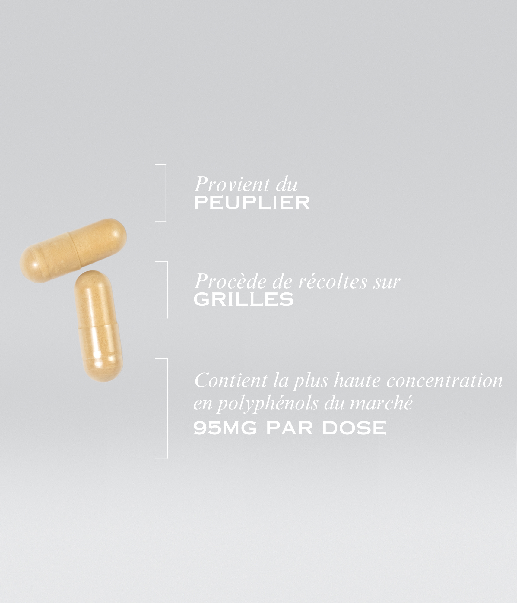 PROPOLIS CAPSULES
