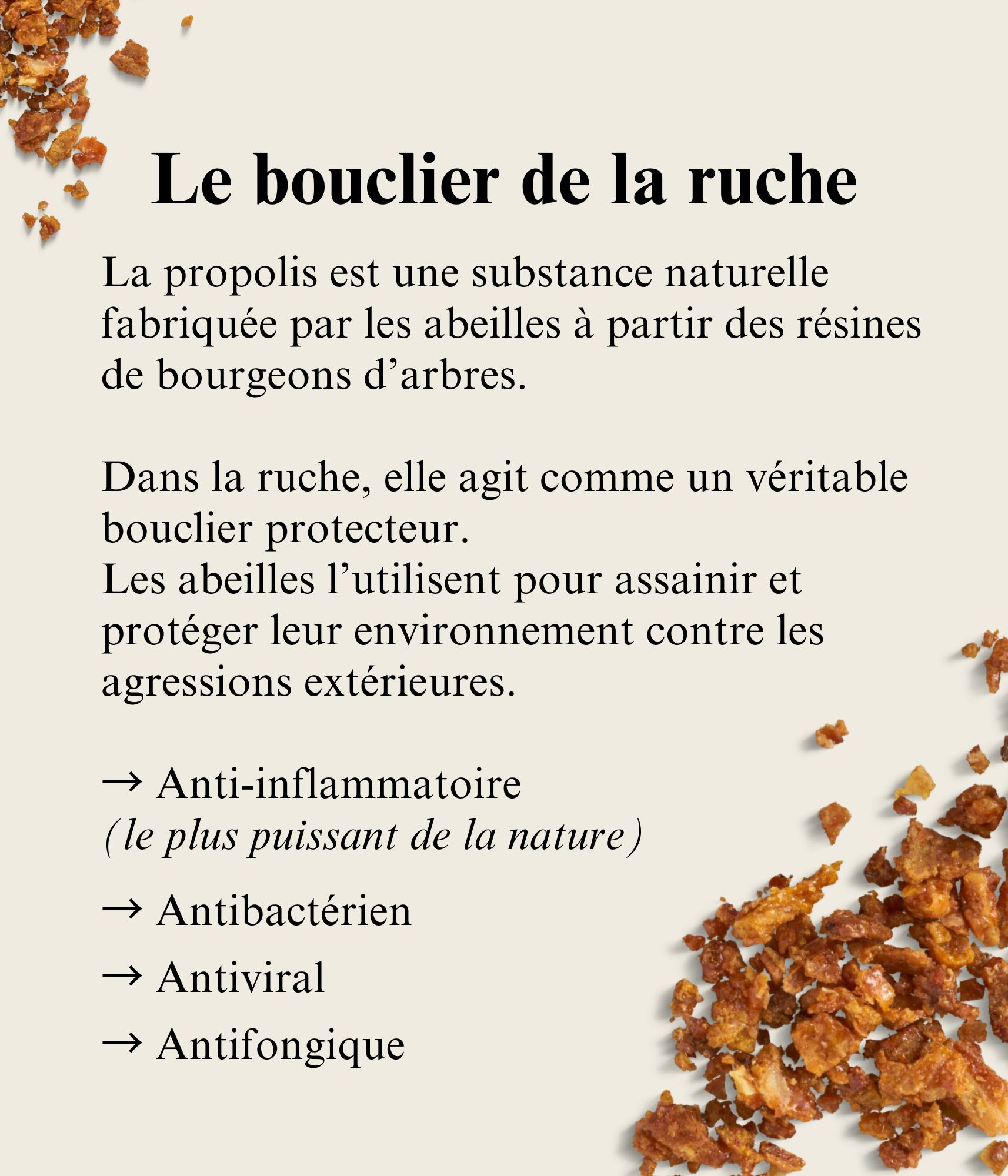 Monodoses de Propolis sans alcool